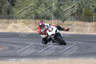 media/Feb-04-2024-SoCal Trackdays (Sun) [[91d6515b1d]]/2-Turn 3 (1015am)/